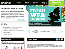 Tablet Screenshot of bigpepperdesign.com